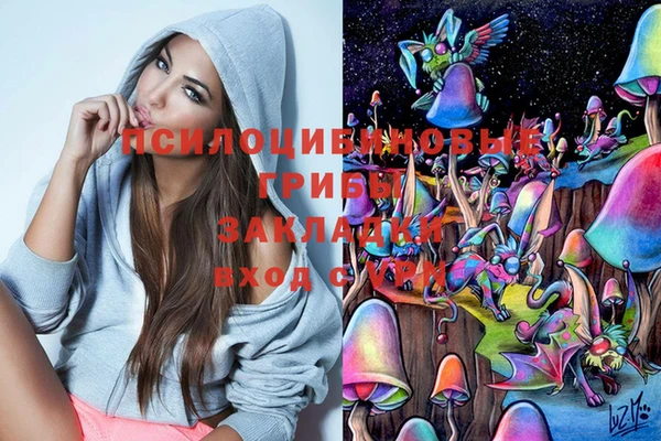 2c-b Абинск