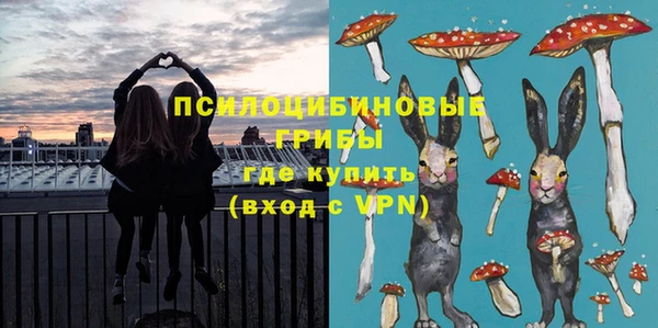прущая мука Абаза
